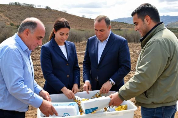 tres homes i una dona estan mirant una caixa de plàtans a la terra mentre un altre home està a prop, Arthur Sarkissian, plàstic, una foto d'estoc, regionalisme